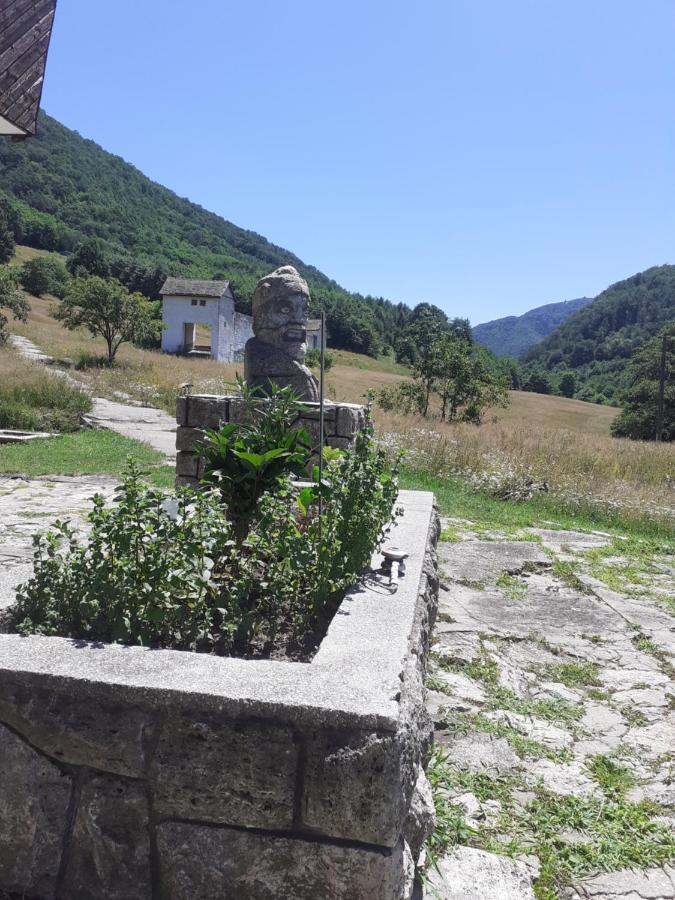 Pensiunea Costesti Exterior foto